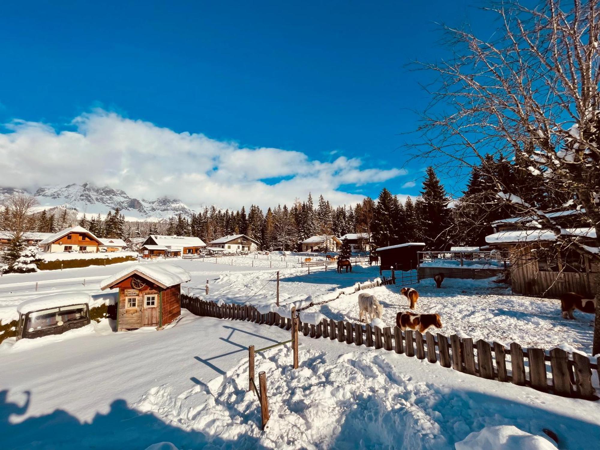 Pension Vorberghof- Bauernhofurlaub رامساو أم داتشستين المظهر الخارجي الصورة