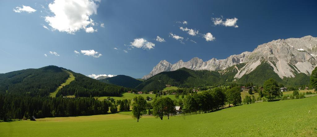 Pension Vorberghof- Bauernhofurlaub رامساو أم داتشستين المظهر الخارجي الصورة
